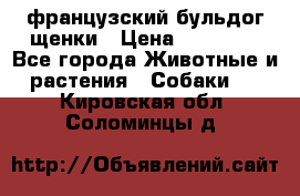 французский бульдог щенки › Цена ­ 50 000 - Все города Животные и растения » Собаки   . Кировская обл.,Соломинцы д.
